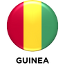 Global presence partner logo