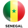 Global presence partner logo