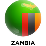 Global presence partner logo
